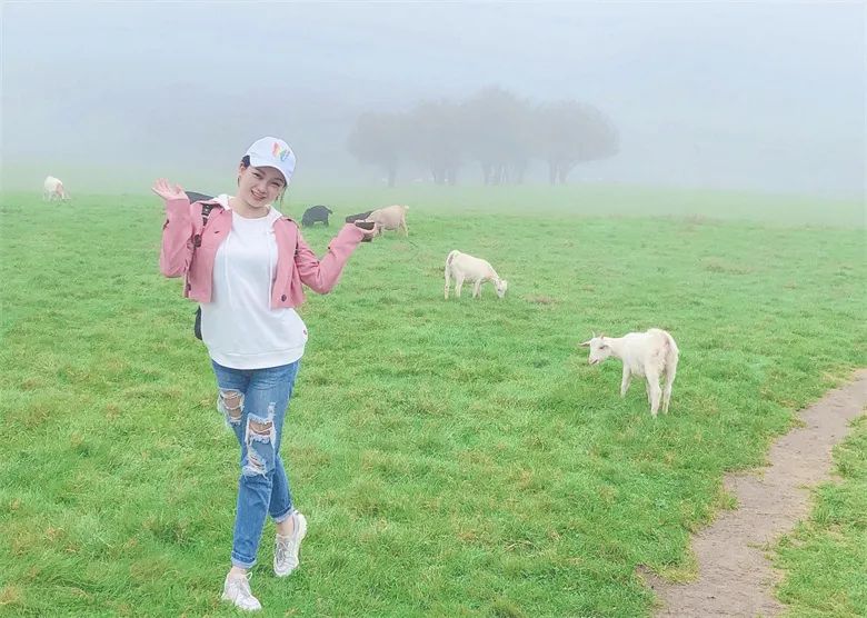 新员工特辑②|欢迎加入，梦想启航！